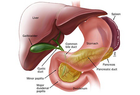Know About Gallbladder